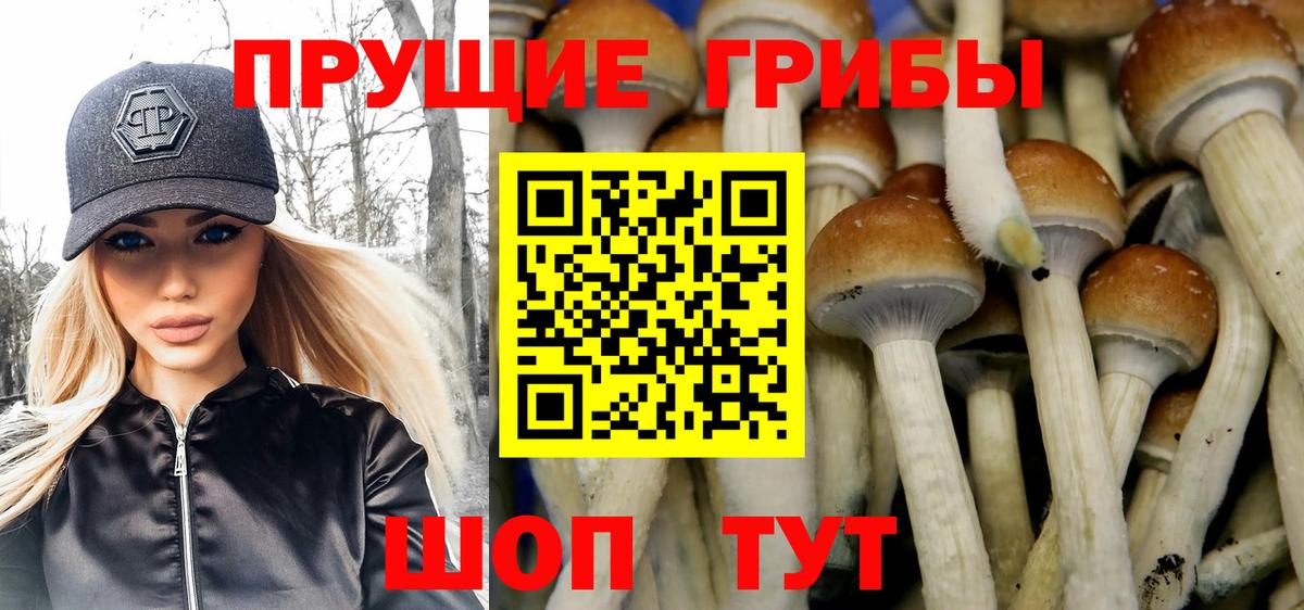 Галлюциногенные грибы Magic Shrooms  Вход с VPN  Советский 